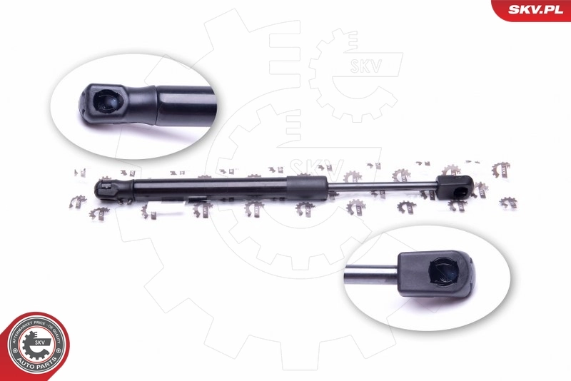 Gas Spring, boot/cargo area